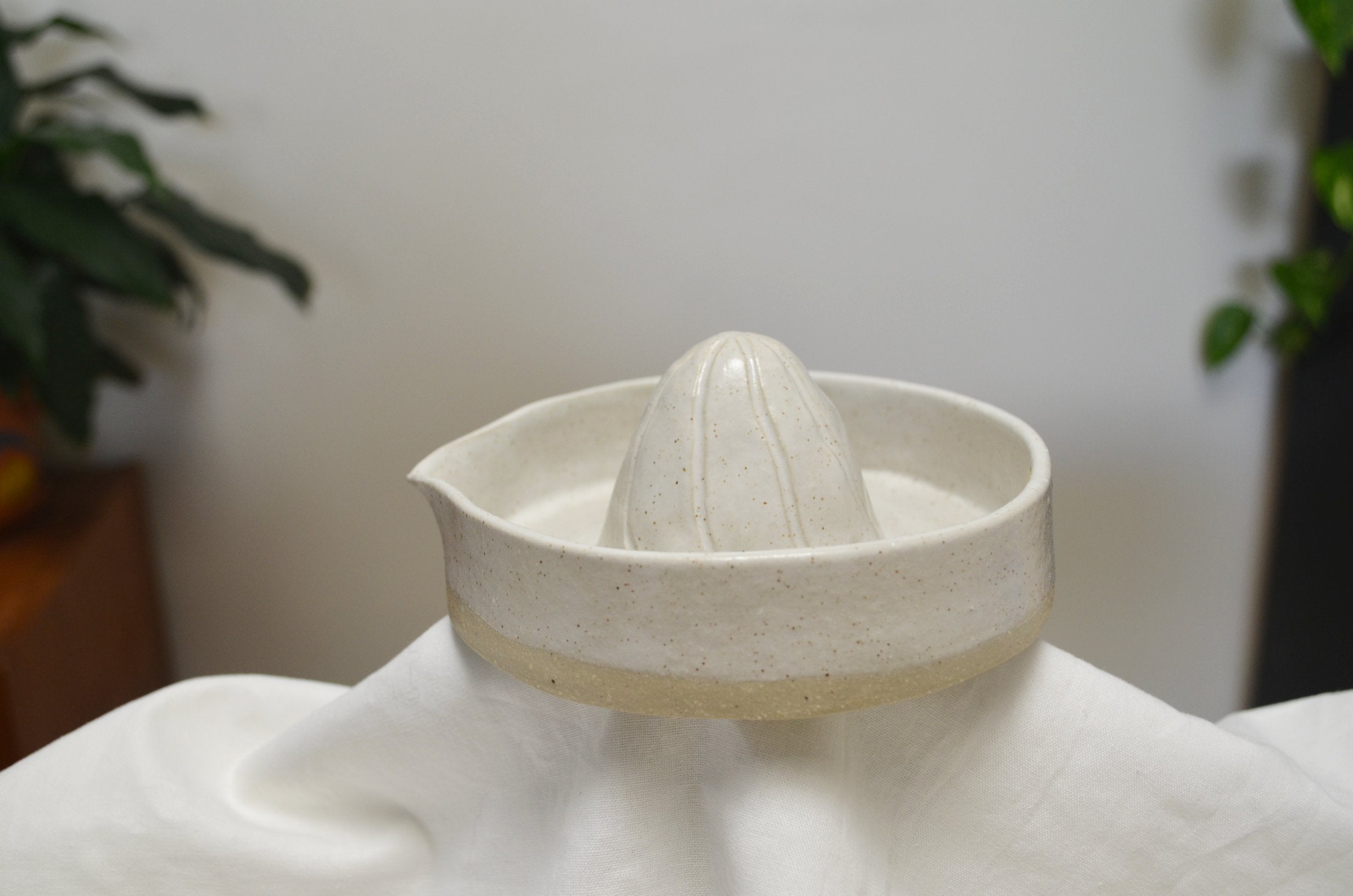 Vanilla Bean Citrus Juicer
