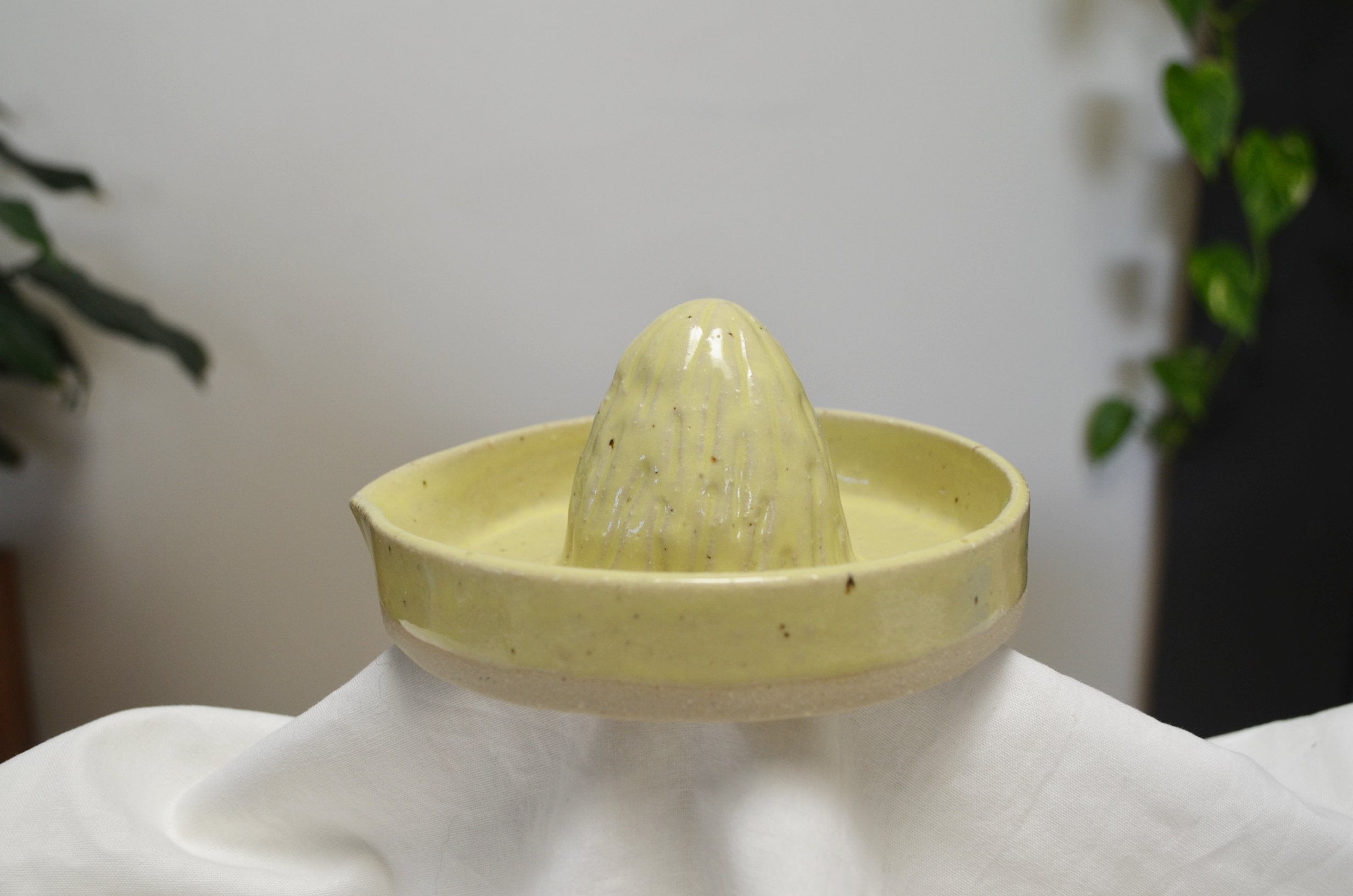 Lemon Citrus Juicer