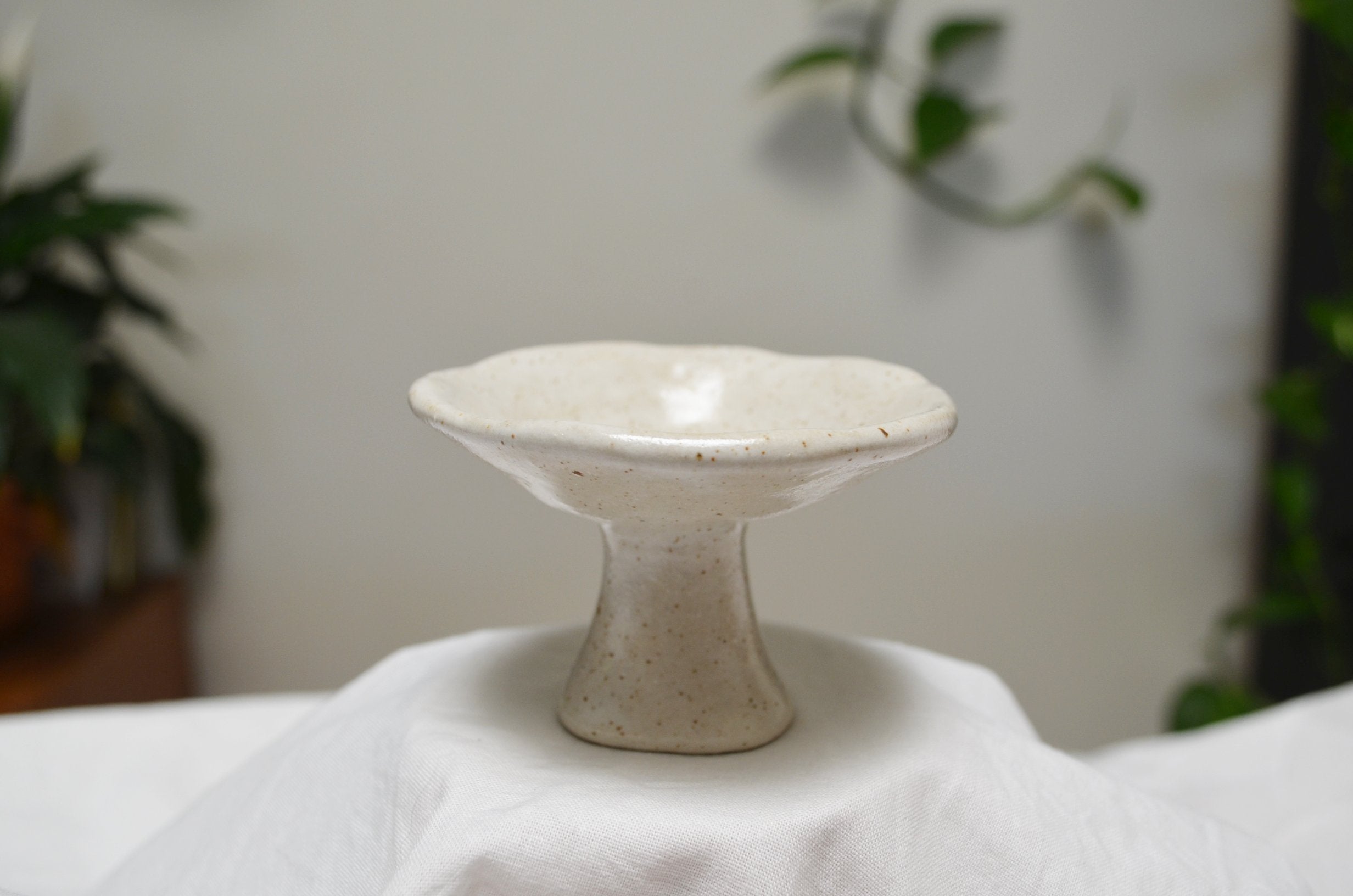 Vanilla Bean Mushroom Jewellery Tray