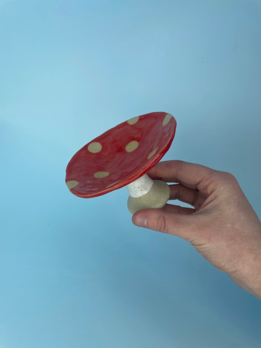 Mushroom Jewellery Tray