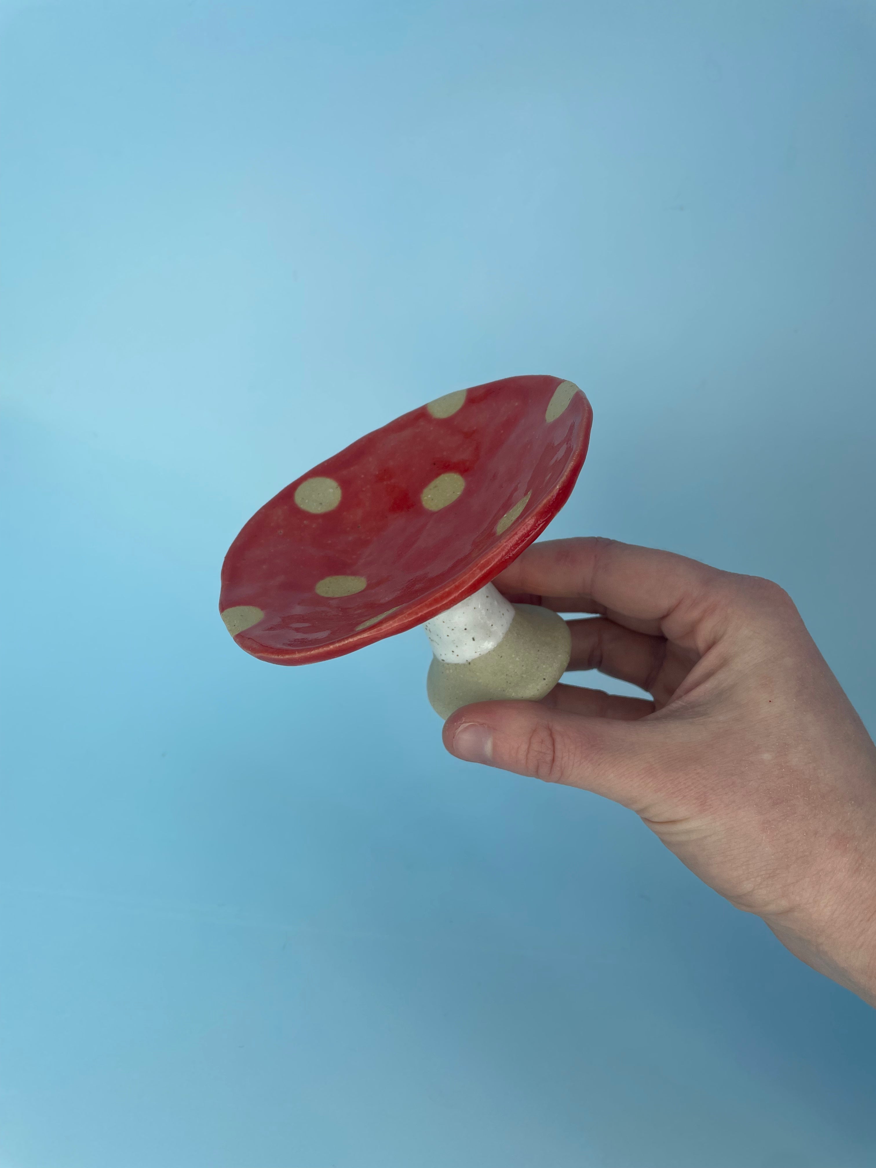 Mushroom Jewellery Tray