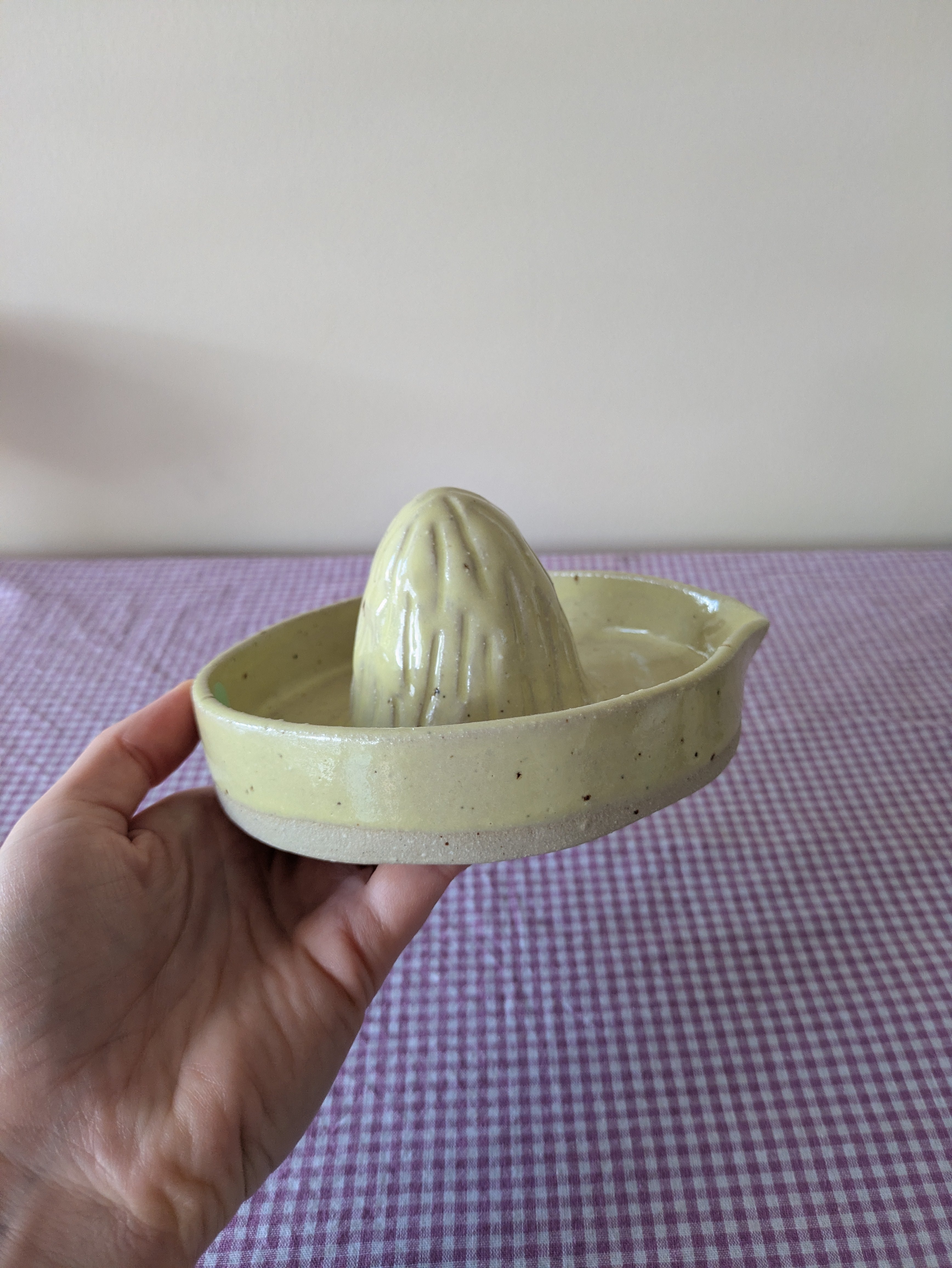 Lemon Citrus Juicer